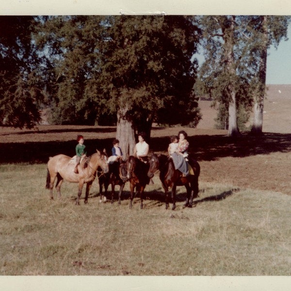 Familia Pérez Rosales Familia Pérez Rosales