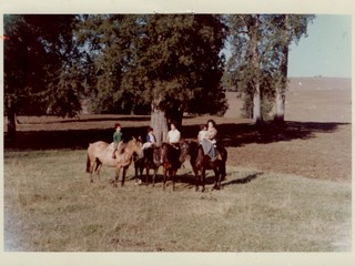 Familia Pérez Rosales