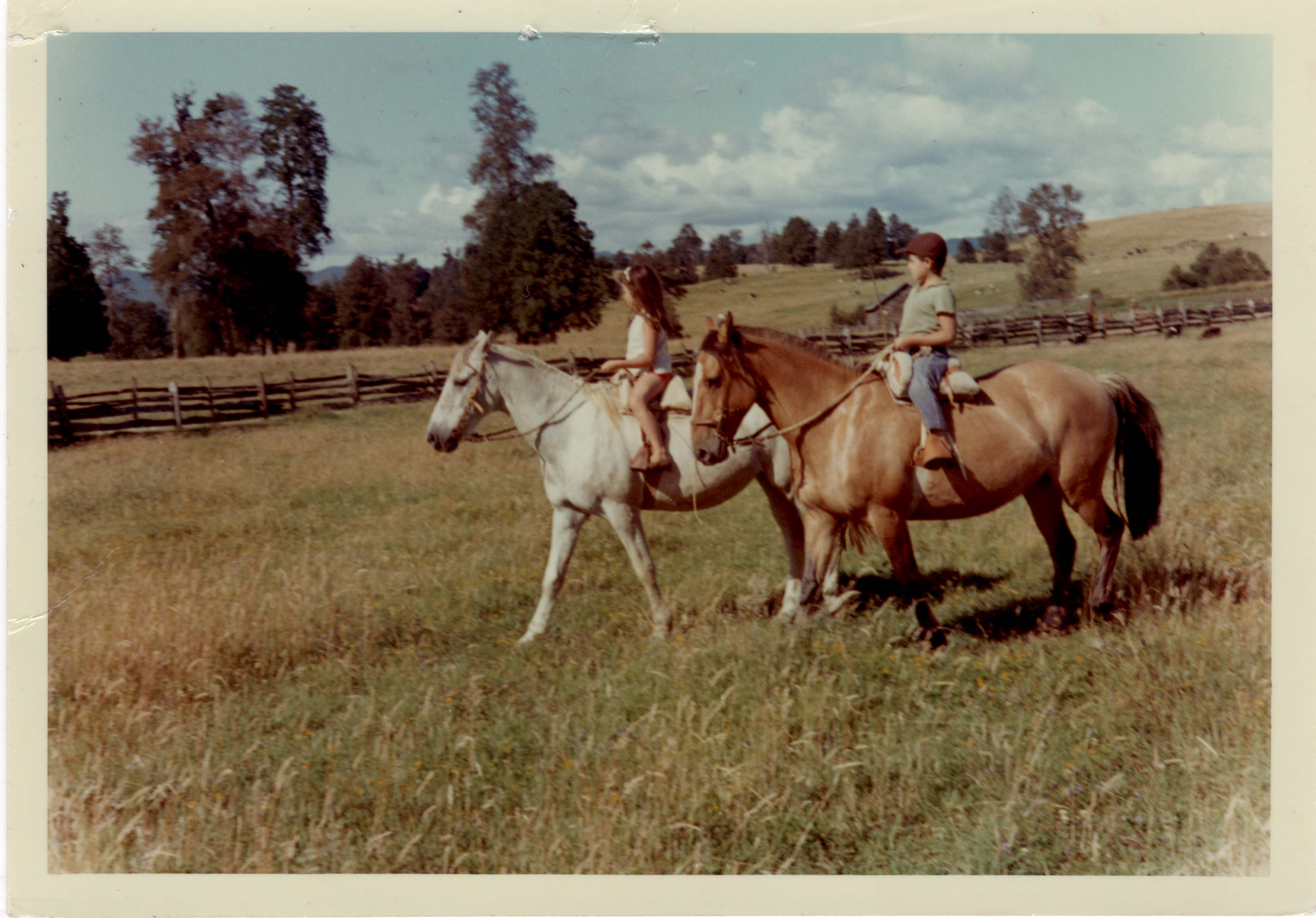 Cabalgata de los hermanos Pérez Rosales