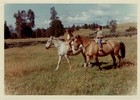 Cabalgata de los hermanos Pérez Rosales Cabalgata de los hermanos Pérez Rosales
