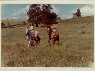 Hermanos Pérez Rosales