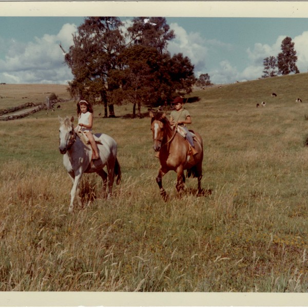 Hermanos Pérez Rosales