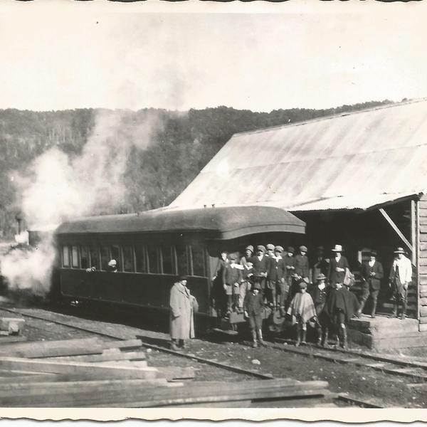 Ferrocarril trasandino