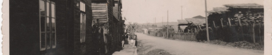 Calle Patricio Lynch Calle Patricio Lynch