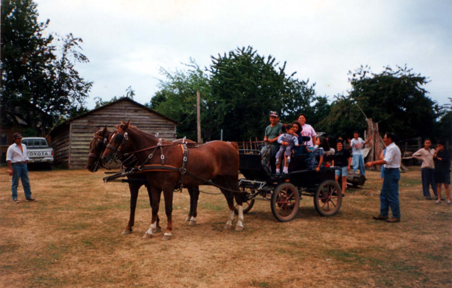 Paseo en coche de caballos Paseo en coche de caballos