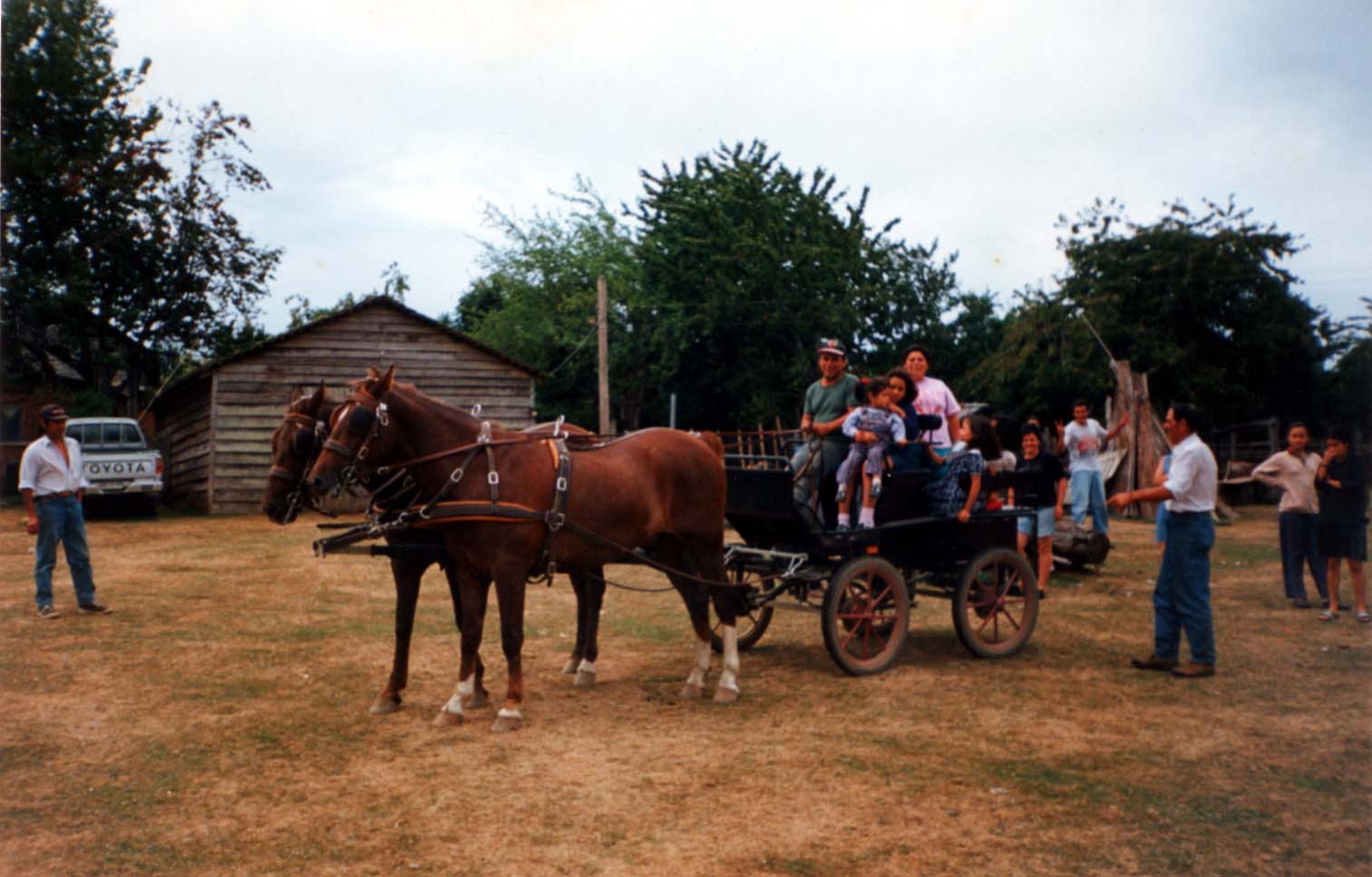 Paseo en coche de caballos