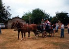 Paseo en coche de caballos