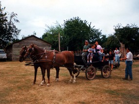 Paseo en coche de caballos