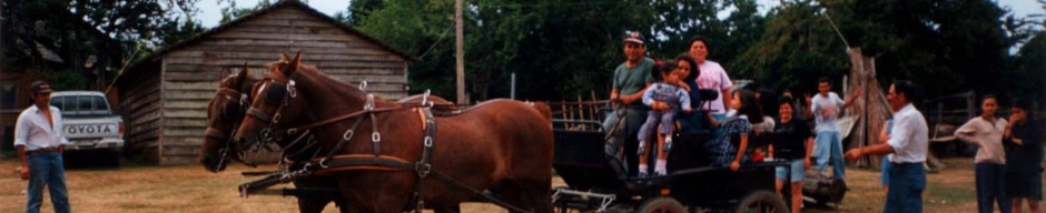 Paseo en coche de caballos