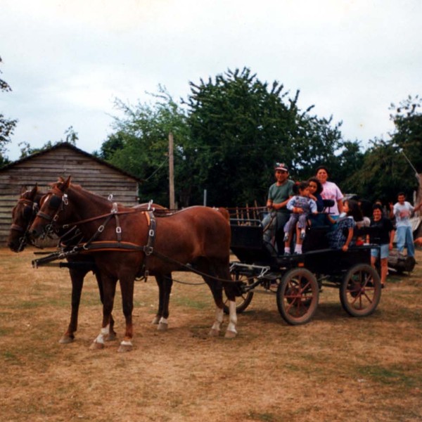 Paseo en coche de caballos