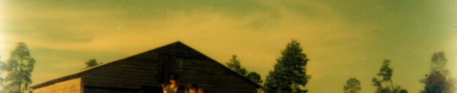 Galpón de la familia Mora Fuentes Galpón de la familia Mora Fuentes