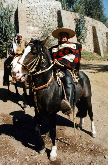 Fiesta de Cuasimodo