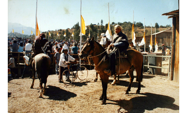 Fiesta de Cuasimodo