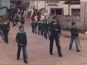 Brigada verde Brigada verde