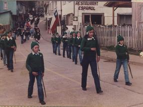 Brigada verde