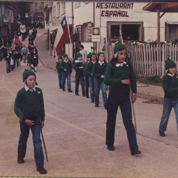 Brigada verde