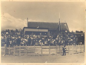 Inauguración de la medialuna de Ancud