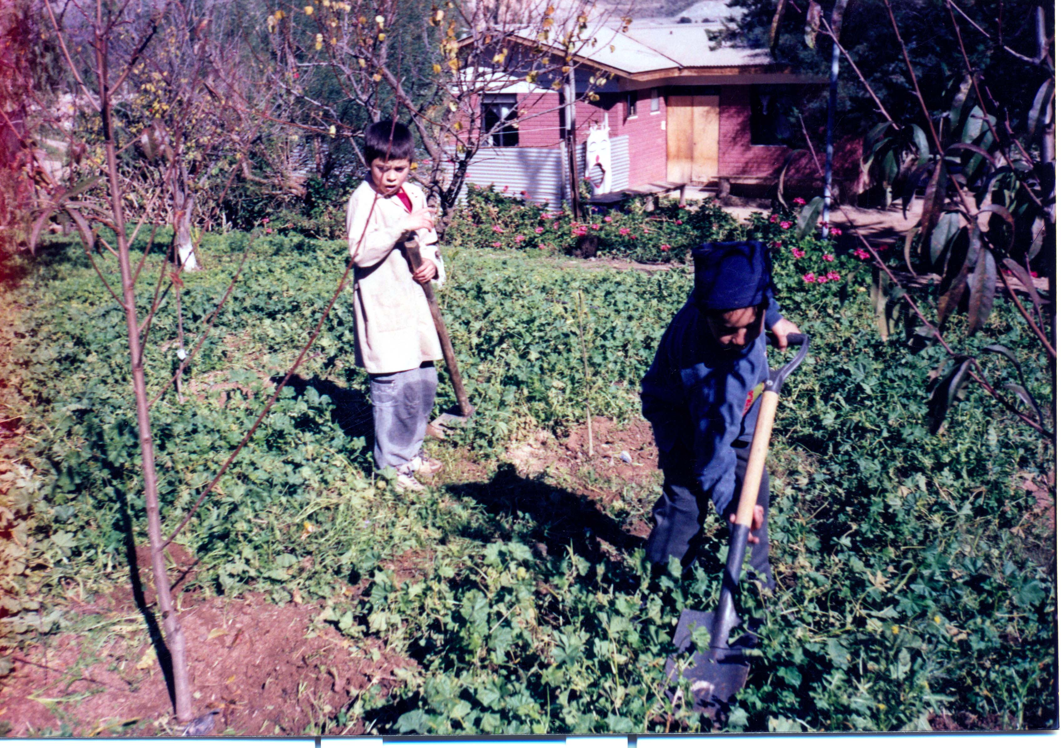 Matías Arias y Roberto Rodríguez