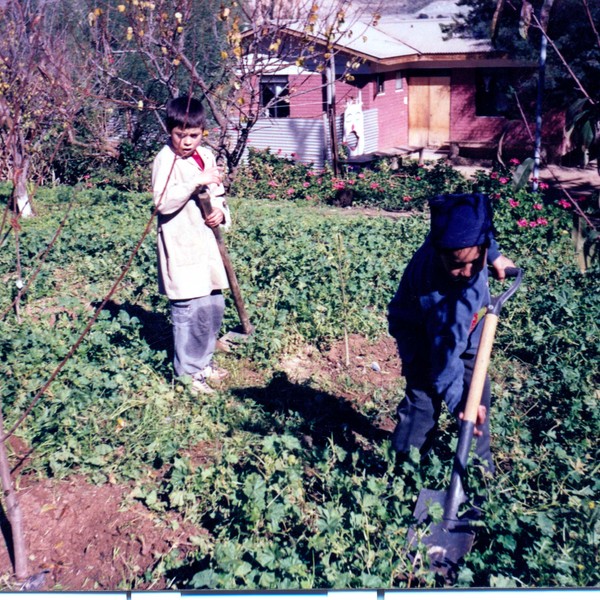 Matías Arias y Roberto Rodríguez