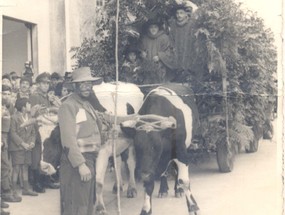 Club de Huasos en la fiesta de la primavera