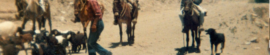 Arreo de cabras Arreo de cabras