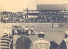 Inauguración del Rodeo Oficial de Ancud