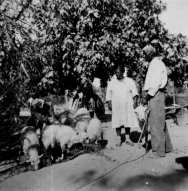 Pareja de afrodescendientes Pareja de afrodescendientes
