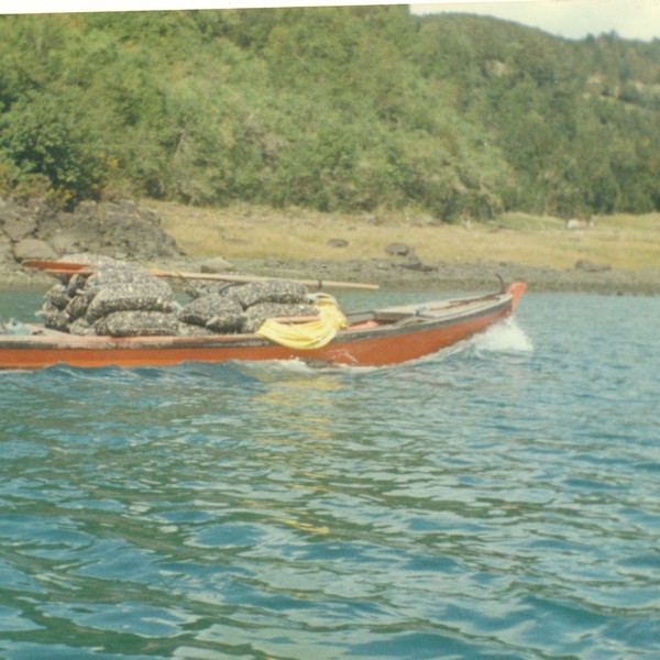 Buceo en el estuario del Reloncaví Buceo en el estuario del Reloncaví