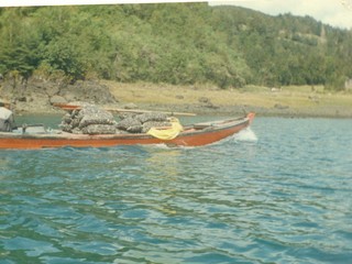 Buceo en el estuario del Reloncaví Buceo en el estuario del Reloncaví