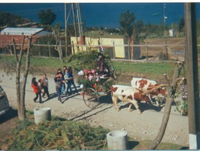 Desfile de fiestas patrias