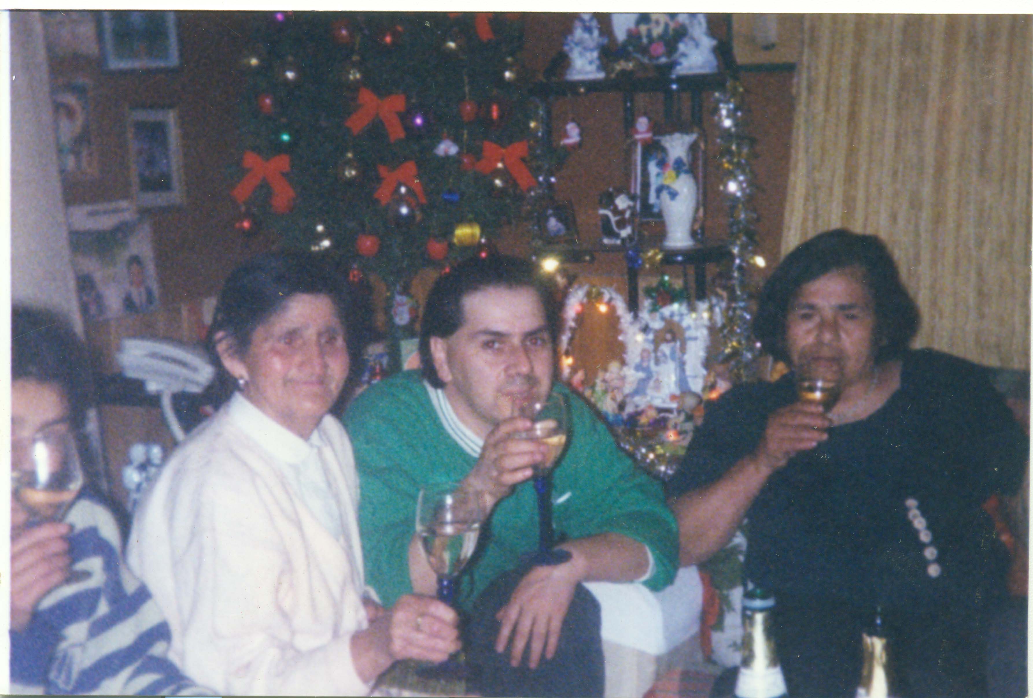 Brindis de Año Nuevo Brindis de Año Nuevo
