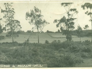 Paisaje de Maullín