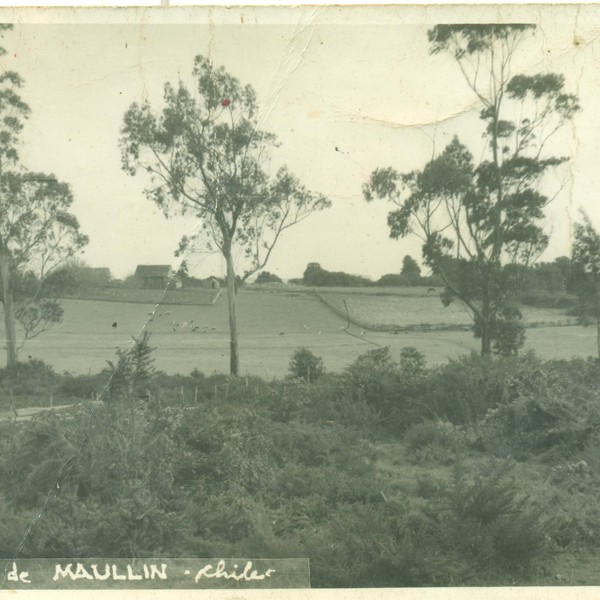 Paisaje de Maullín Paisaje de Maullín