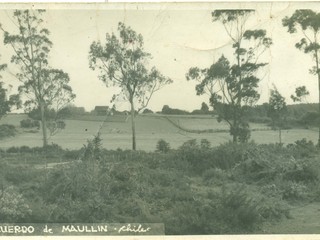 Paisaje de Maullín Paisaje de Maullín