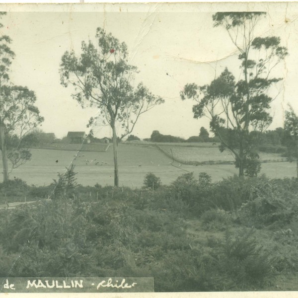 Paisaje de Maullín