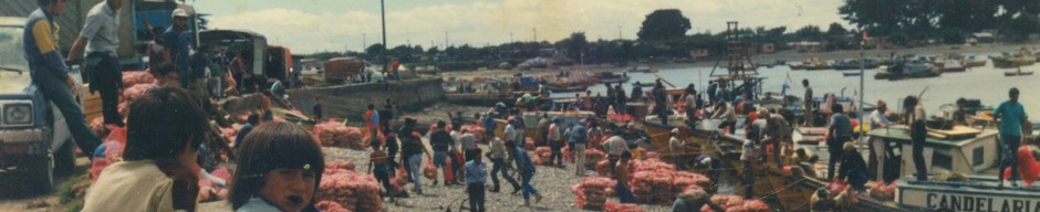 Comercio en la playa de Carelmapu