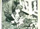 Visita al cementerio Misión de Rahue