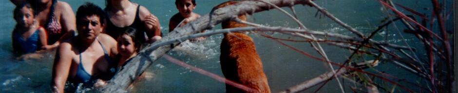 Paseo al río Elqui