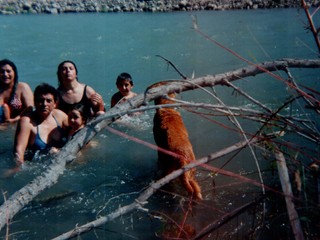 Paseo al río Elqui