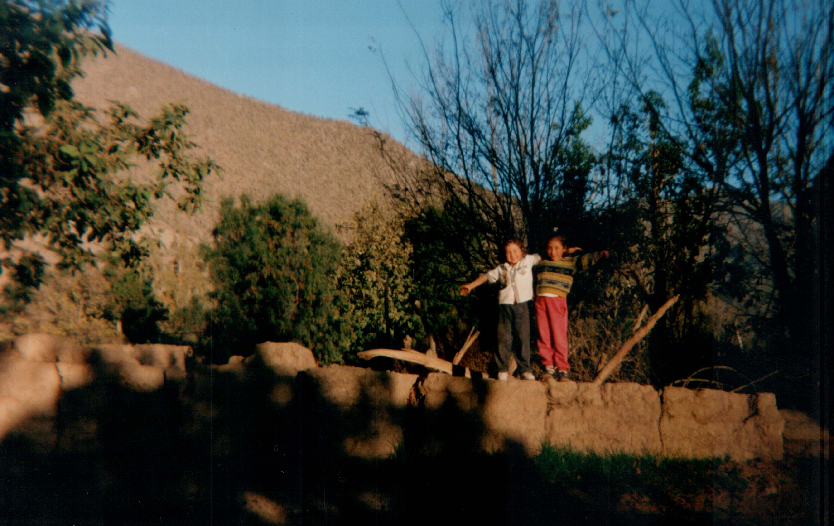 Huerto de la familia Roco Huerto de la familia Roco