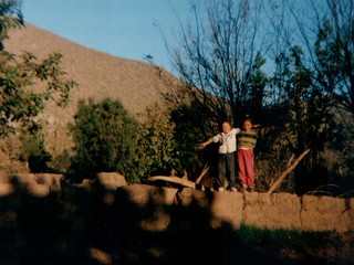 Huerto de la familia Roco Huerto de la familia Roco