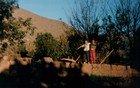 Huerto de la familia Roco Huerto de la familia Roco