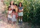 Niñas en el maizal Niñas en el maizal