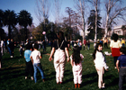 Paseo de las colonias urbanas