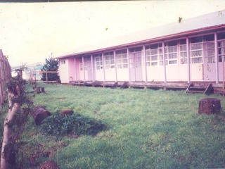 Jardín infantil "Piolín"