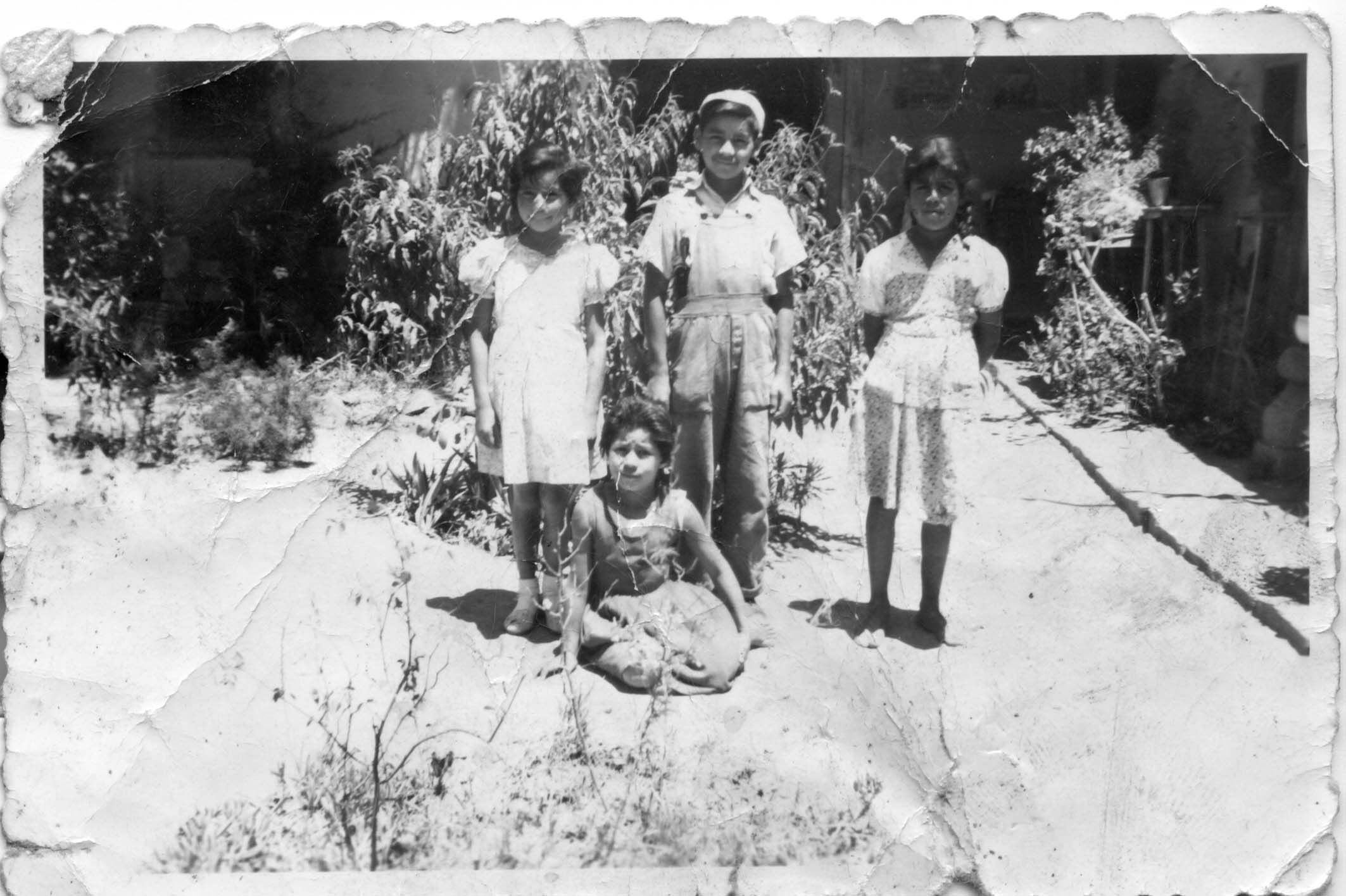 Primos de vacaciones en Gualliguaica