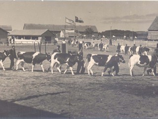 Exposición de ganado