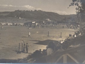 Exposición ganadera en Ancud