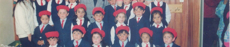 Licenciatura de kindergarden