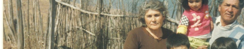 Familia Araya Bugueño Familia Araya Bugueño